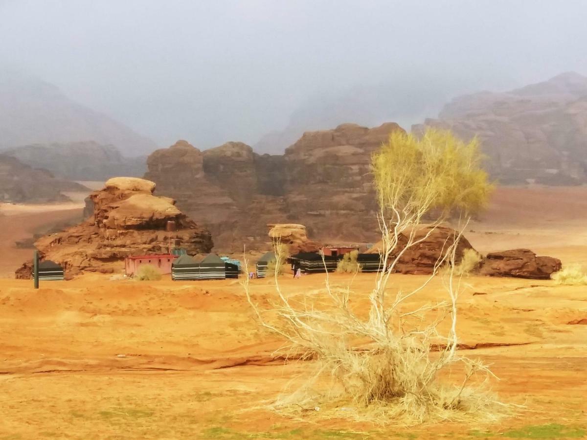 Bedouin Culture Camp Wadi Rum Exterior foto